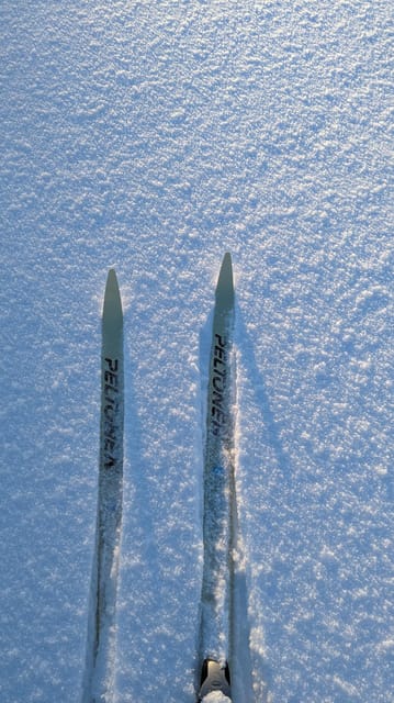 Saariselkä: Back-Country Skiing Guided Tour - What back-country skiing means in Saariselkä