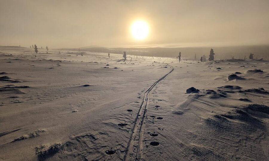 Saariselkä: Back-Country Skiing Guided Tour - Leaving the maintained trails
