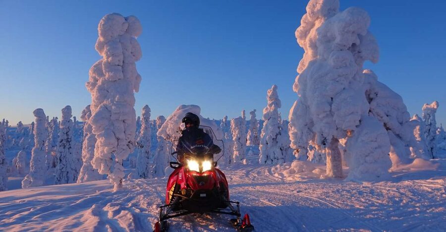 Saariselkä: Evening Snowmobile Tour with Fire & picnic - Riding through forest, swamps, and hills