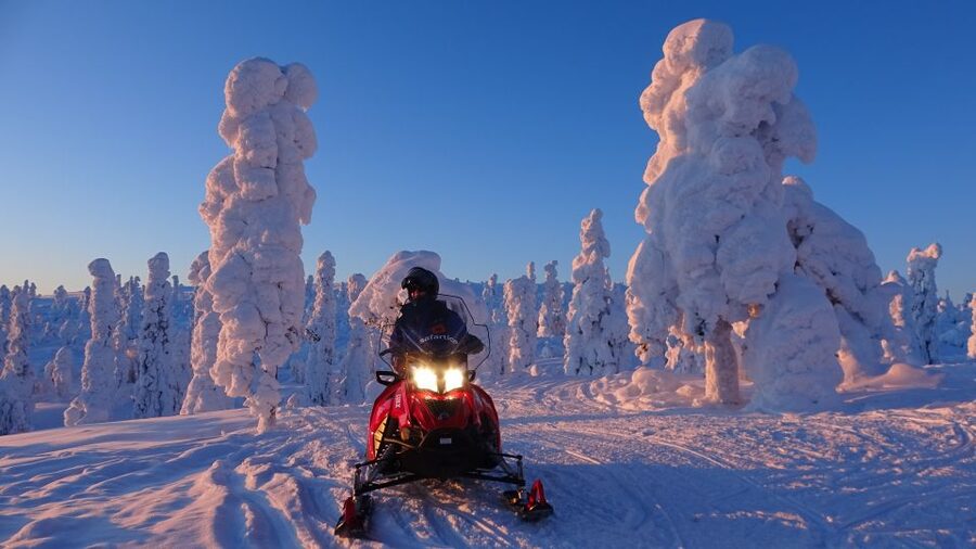 Saariselkä: Evening Snowmobile Tour with Fire & picnic - Learning to handle the snowmobile
