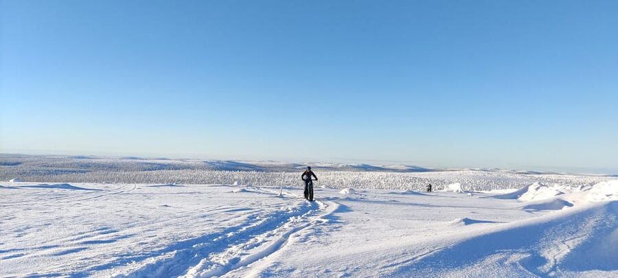 Saariselkä: Guided Fatbike Tour - Key points to know before you book