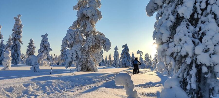 Saariselkä: Guided Fatbike Tour - Starting from Saariselkä’s office doorstep