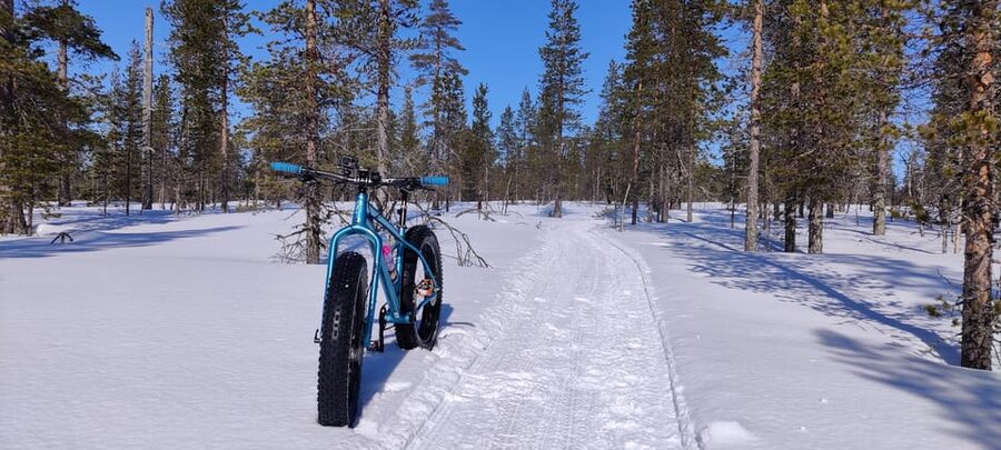 Saariselkä: Guided Fatbike Tour - The warm-drink break and winter scenery