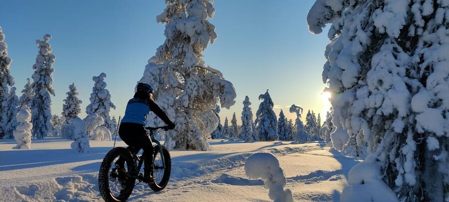 Saariselkä: Guided Fatbike Tour - Choosing between forest trails and the fells