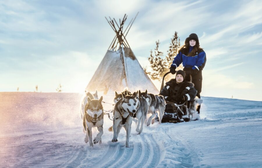 Saariselkä: Husky Safari with Aurora Borealis Hunt - Key points at a glance