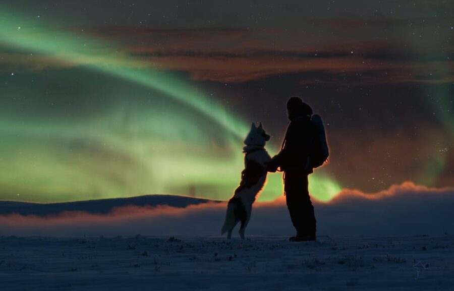 Saariselkä: Husky Safari with Aurora Borealis Hunt - Meeting the Siberian huskies and learning the sled