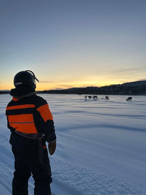 Saariselkä: Ice Fishing Tour to Lake Inari, reindeers& lunch - Timing, cancellation, and practical planning