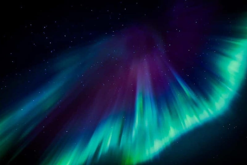 Saariselkä,Kakslauttanen: Aurora Hunting & Photography Tour. - Inside the Mercedes-Benz minibus