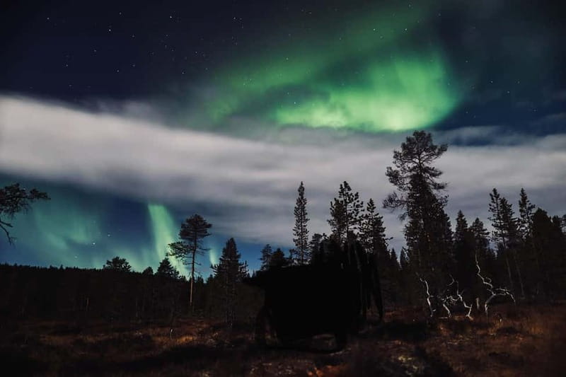 Saariselkä,Kakslauttanen: Aurora Hunting & Photography Tour. - What the $154 price buys you