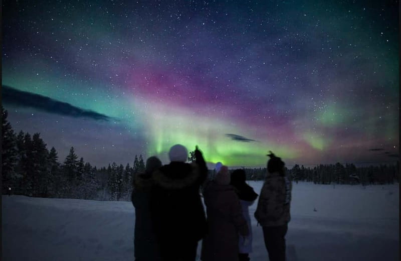 Saariselkä,Kakslauttanen: Aurora Hunting & Photography Tour. - Who will get the most from this tour