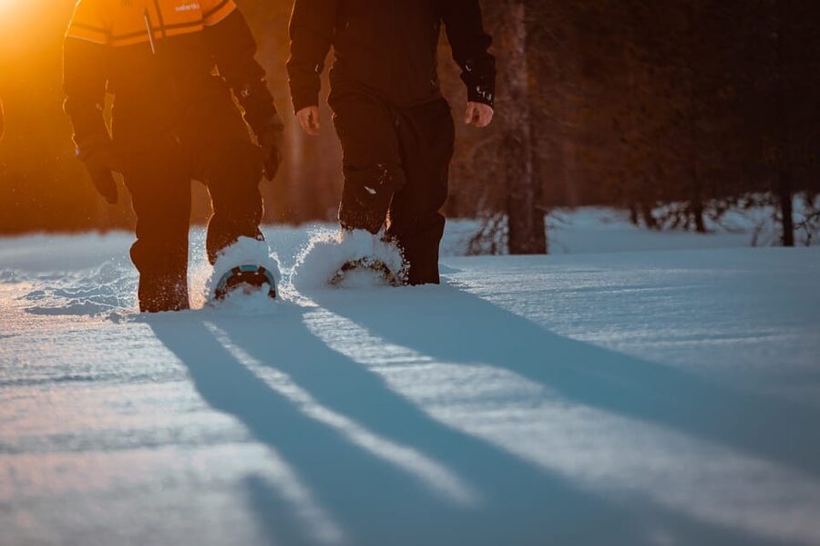 Saariselkä: Northern Lights Hunting Snowshoe Trip - Key points at a glance