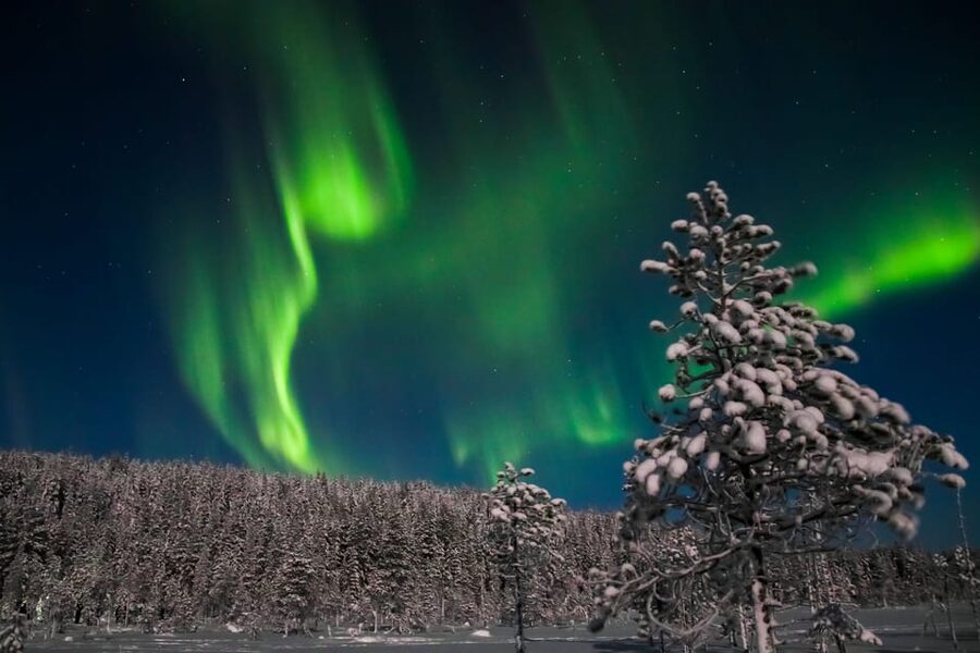 Saariselkä: Northern Lights Hunting Snowshoe Trip - Setting out after dark in Saariselkä