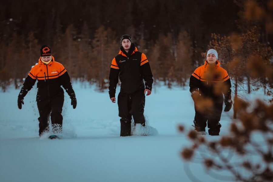 Saariselkä: Northern Lights Hunting Snowshoe Trip - Hunting for the northern lights