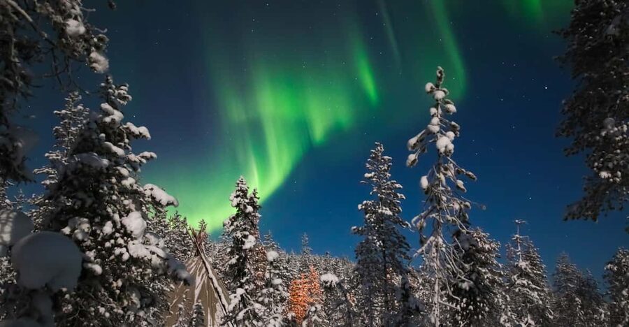 Saariselkä: Northern Lights Hunting Snowshoe Trip - Who should book this Saariselkä night walk