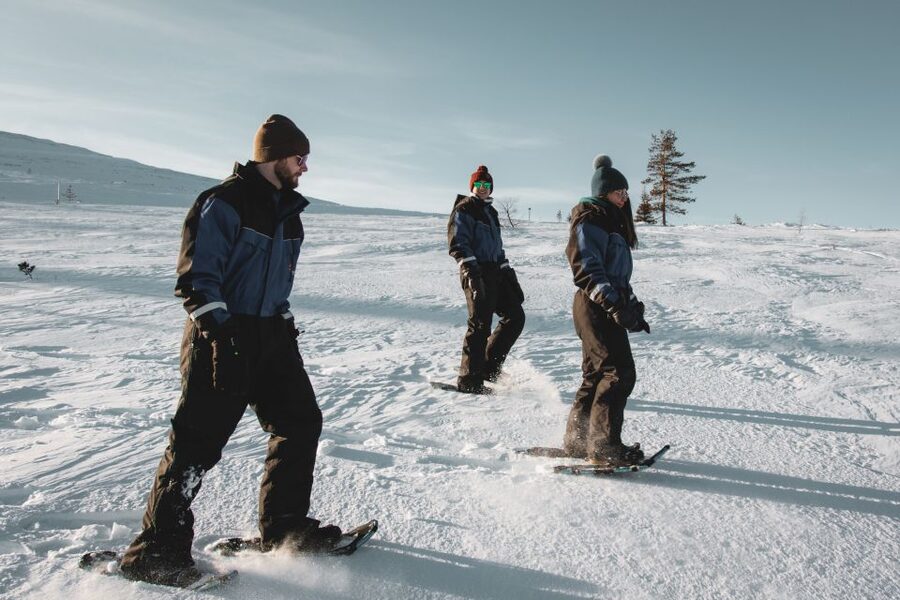 Saariselkä: Scenic Snowshoe Safari - Key points at a glance