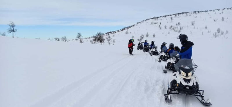 Saariselka: Snowmobile Safari on Tundra with BBQ - Who should book this Saariselka activity?