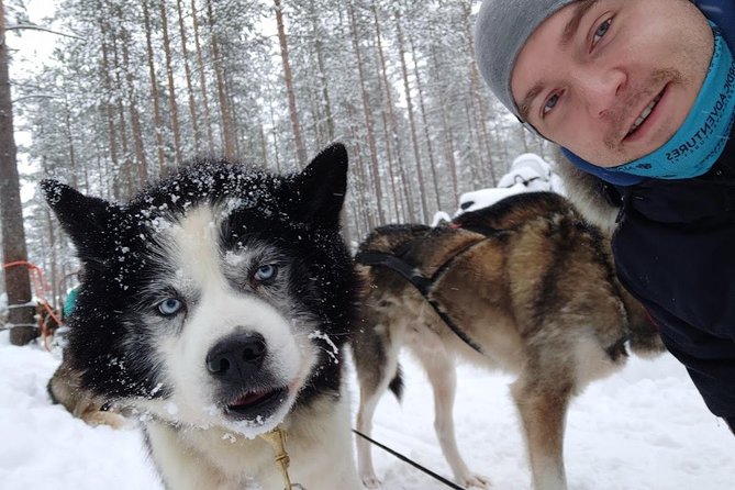 Santa Claus Village Guided Tour & Arctic Animals Adventure - Why this Rovaniemi combo tour works well