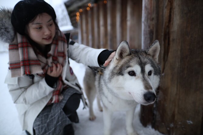Santa Claus Village, Husky and Reindeers Combo Safari - Santa Claus Village and the Arctic Circle