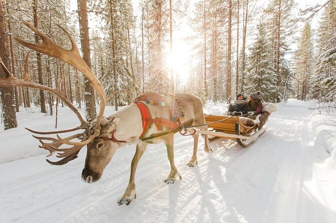 Santa's Reindeer & Husky Safari + Aurora BBQ in Rovaniemi - Aurora hunting at two dark-sky stops