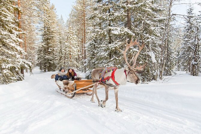 Santa's Reindeer & Husky Safari + Aurora BBQ in Rovaniemi - Guide quality and group logistics