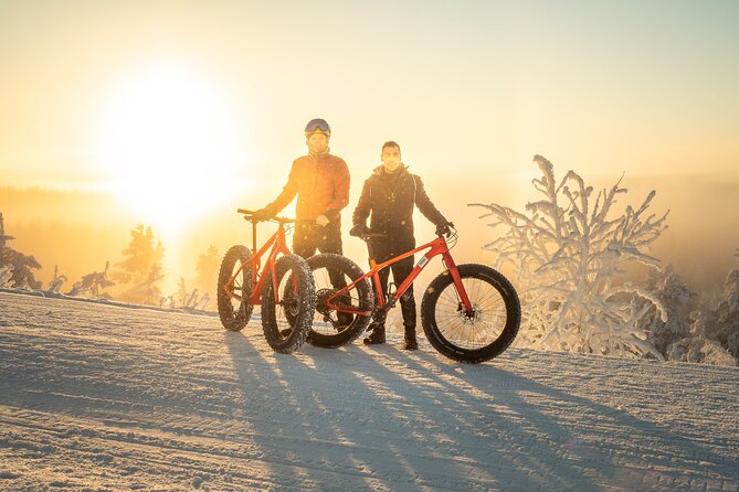Scenic electric fat bike group ride in Rovaniemi - Quick take: what matters most