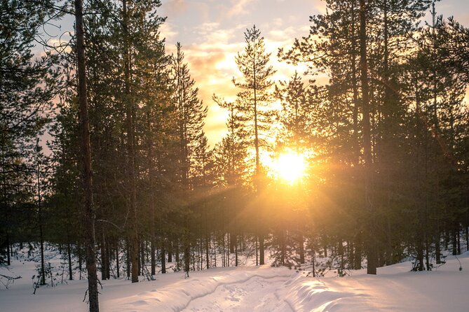 Scenic electric fat bike group ride in Rovaniemi - Entering Ounasvaara’s winter trails