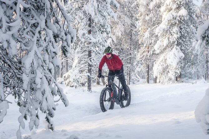 Scenic electric fat bike group ride in Rovaniemi - What the two-hour schedule really includes