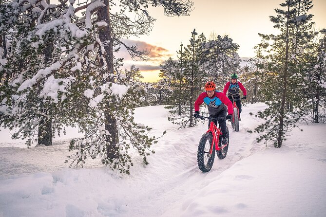 Scenic electric fat bike group ride in Rovaniemi - Is $126.50 a fair price?