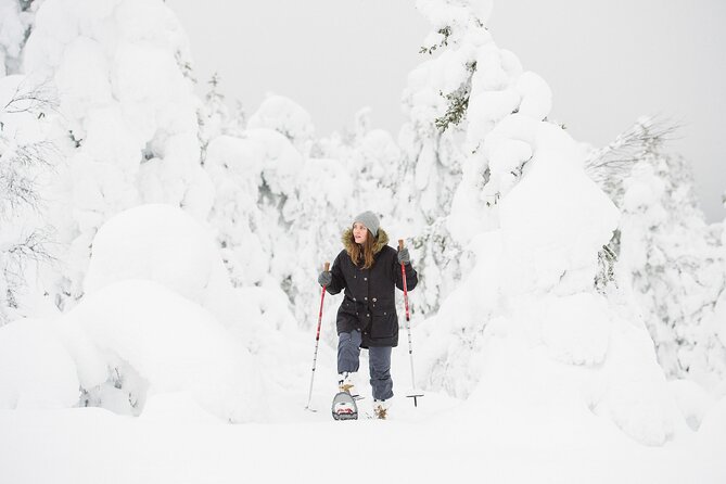 Scenic Snowshoeing on the Top of Pyhä Fell - Is $128.84 a fair price?