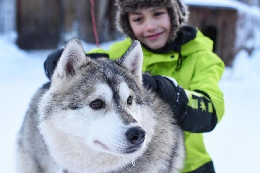 Sirkka: Husky Sled Ride in Levi 2km or 5 km from Levi - What the sled ride feels like