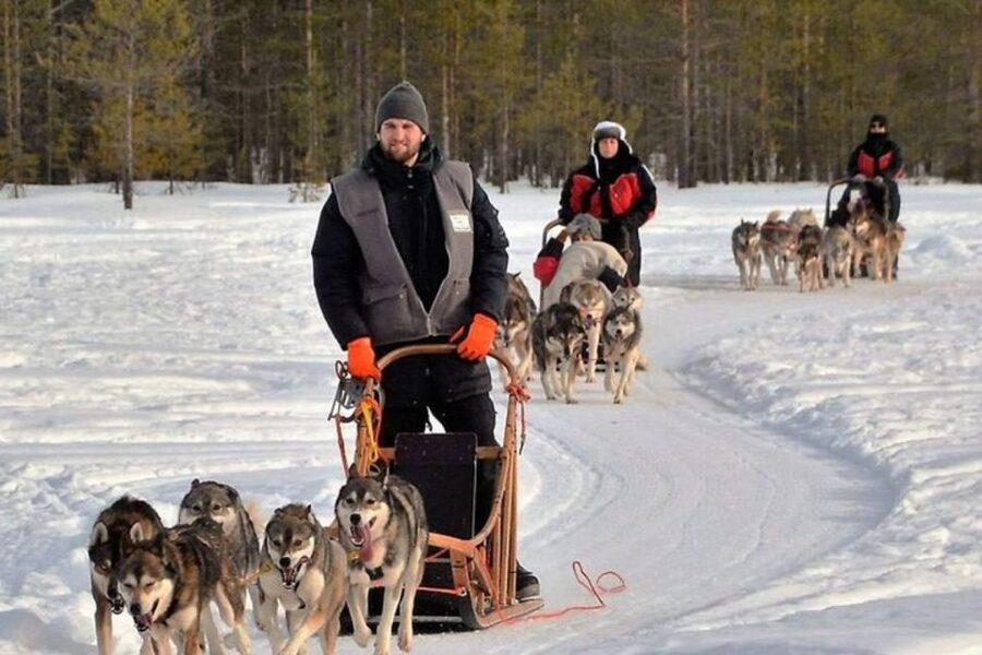 Sirkka: Husky Sled Ride in Levi 2km or 5 km from Levi - Guides, group feel, and service