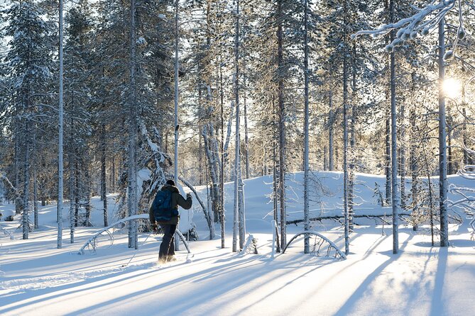Ski Trek to the Wilderness - Extra Small group - Leaving Rovaniemi for the snowy wild