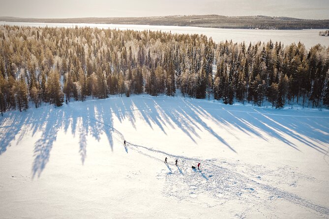 Ski Trekking Safari in Lapland - Fresh snow, forests, and frozen lakes