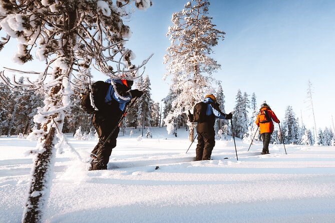 Ski Trekking Safari in Lapland - How the four-hour schedule works