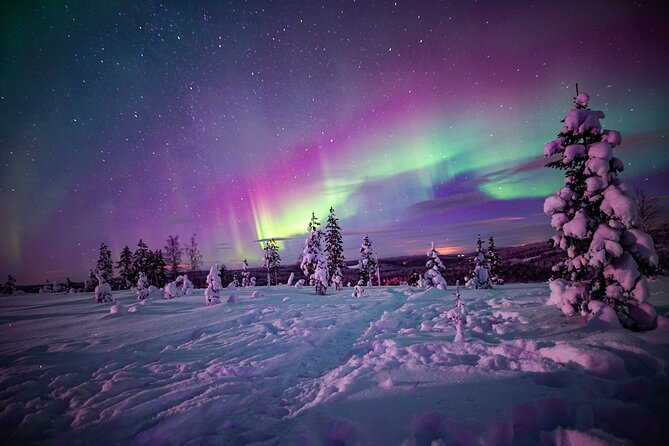 Ski Trekking under the Northern Lights - Key points at a glance
