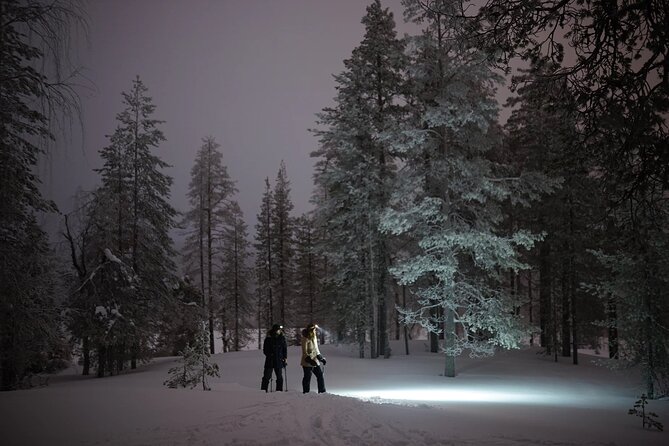 Ski Trekking under the Northern Lights - Who will enjoy this tour most