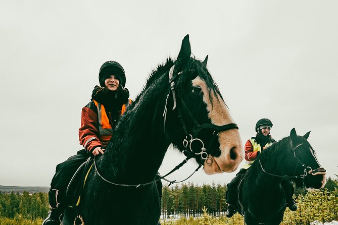 Small-Group Arctic Circle Horse Riding from Rovaniemi - A Warm Finish Around the Farm Fire
