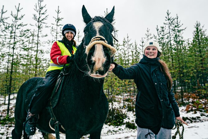 Small-Group Arctic Circle Horse Riding from Rovaniemi - Timing, Pickup, and the Three-Hour Schedule