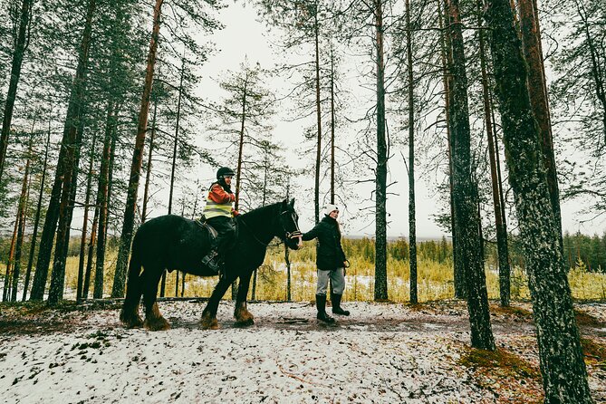 Small-Group Arctic Circle Horse Riding from Rovaniemi - Booking Advice for a Changeable Schedule