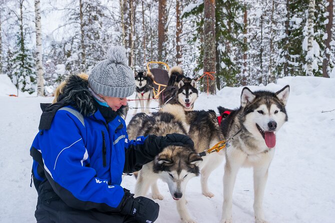 Small-Group Husky Mushing Experience in Rovaniemi - Getting ready at Parpalandia
