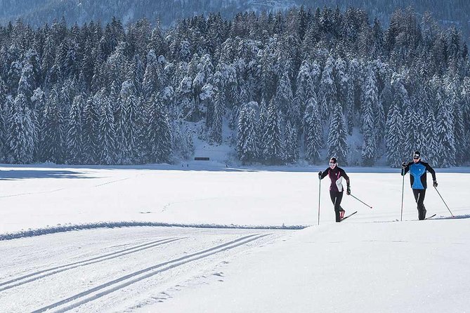 Small-Group Lapland Cross Country Ski - What happens during the 3.5-hour outing