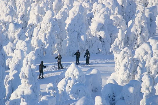 Small-Group Lapland Cross Country Ski - Group size, language, and the minimum booking