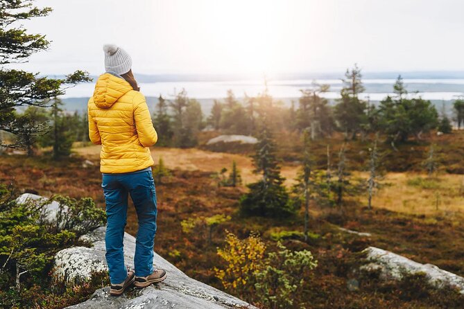 Small-Group Moose Wild Safari from Rovaniemi - Why a moose safari makes sense near Rovaniemi
