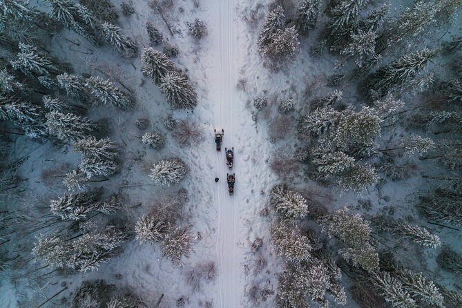 Small-Group Snowmobile Experience in Rovaniemi - Guides who add personality to the ride