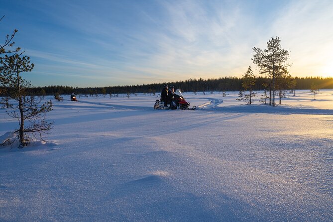 Small-Group Snowmobile Experience in Rovaniemi - Who will enjoy this most
