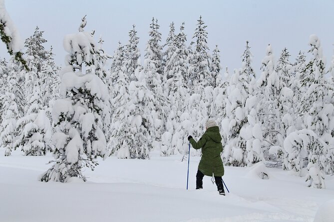 Small-Group Snowshoeing Adventure In Lapland - Key points at a glance