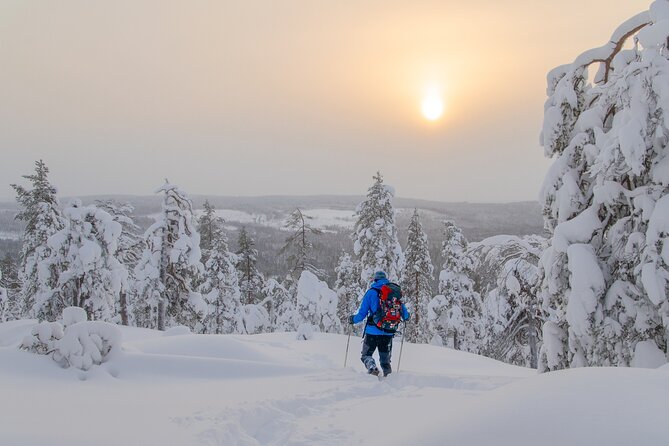 Small-Group Snowshoeing Adventure In Lapland - A small group changes the mood