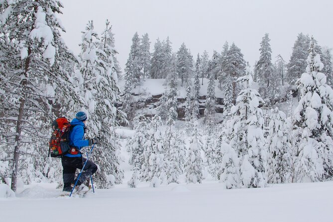 Small-Group Snowshoeing Adventure In Lapland - A warm pause with coffee, tea, and snacks