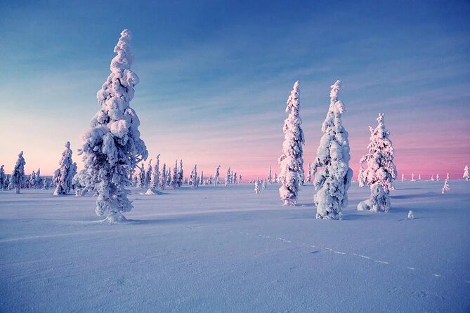 Snowmobile and Ice Fishing Experience - A fire, salmon, and hot berry juice