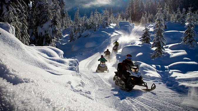 Snowmobile & Animals Day Tour - What this Rovaniemi tour really offers